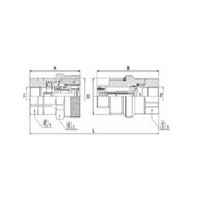 FV80 - Innesti rapidi a Faccia Piana a vite