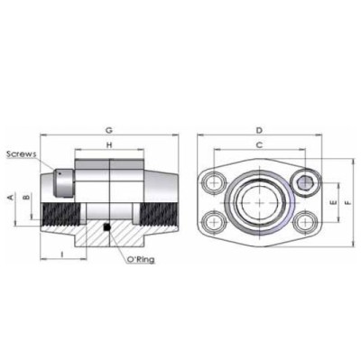 03DG - Doppie Flange Filettate BSP