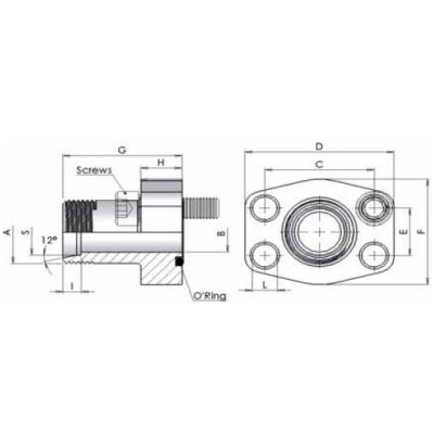 D3FD - Flange filettate Metriche con attacco DIN 2353