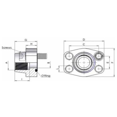 06FN - Flange Filettate NPT