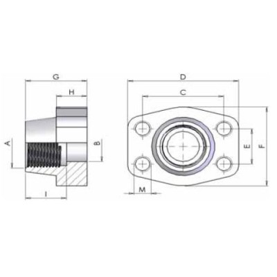 03CN - Controflange Filettate NPT