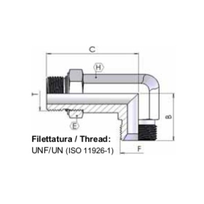 2539 - Curva orientabile lunga BSP/UNF