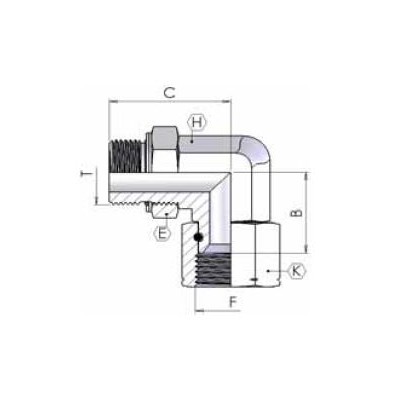 5552 - Curva Orientabile con Femmina Girevole JIC-GAS