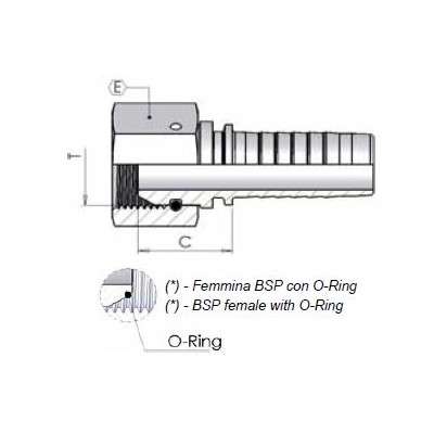 5000 - Femmina BSP cono 60 Dado Spinato